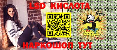 прущие крисы Кингисепп