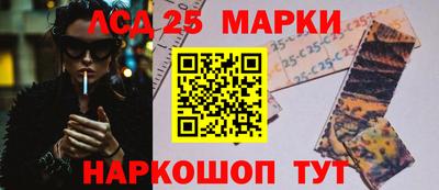 прущие крисы Кингисепп