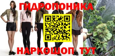 прущие крисы Кингисепп