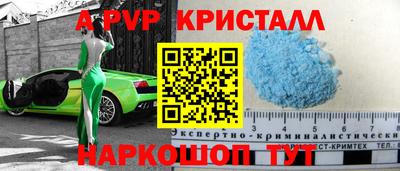 прущие крисы Кингисепп