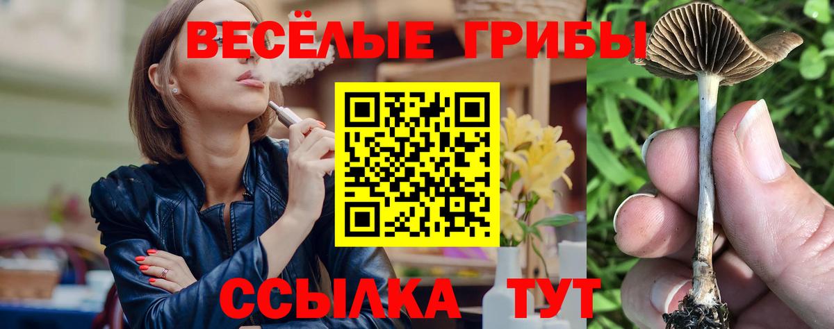 Псилоцибиновые грибы прущие грибы  купить   Псилоцибиновые грибы мухоморы  Кострома  Вход с VPN 