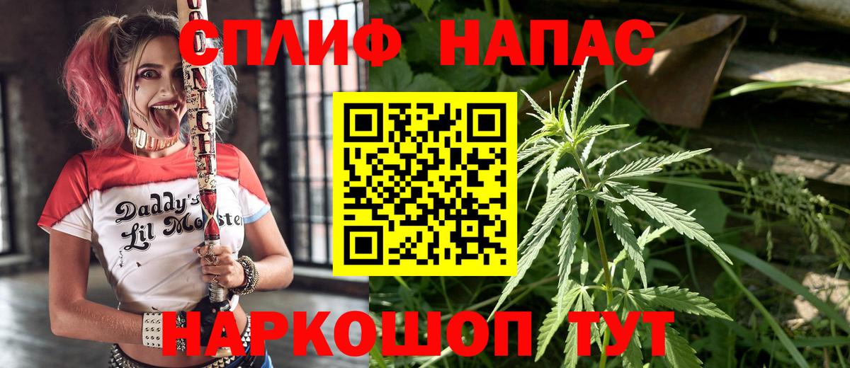 Шишки марихуана планчик  Вход с VPN  Канабис гибрид  Марихуана тримм  Канабис сатива  Кострома 